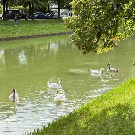Bright With Private Terrace Near Nymphenburg Castle *